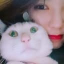찐귤이