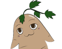 주더덕