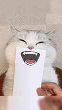 NOMSIKI