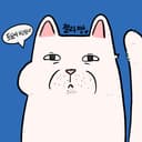 순결한 젤리쨩