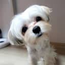cooookie