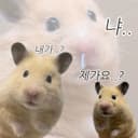누룽지2