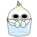 백양파
