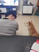똥손 현민