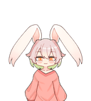 노브 냥이
