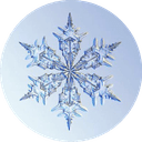 WinterNewyear