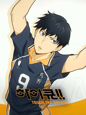 하이큐!! TOUCH THE DREAM