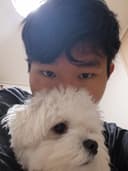형스