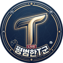 평범한T군