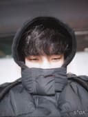 로실