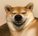 해강