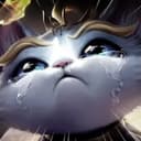 우는고양이1