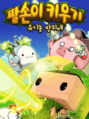 팔손이 키우기