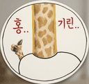 홍기린