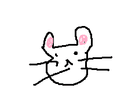 쥐느
