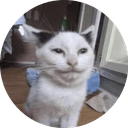 정헤인