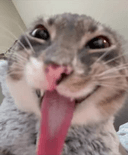 류해인