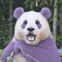 김슈kimshu