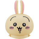8학년조규식