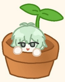 카펠