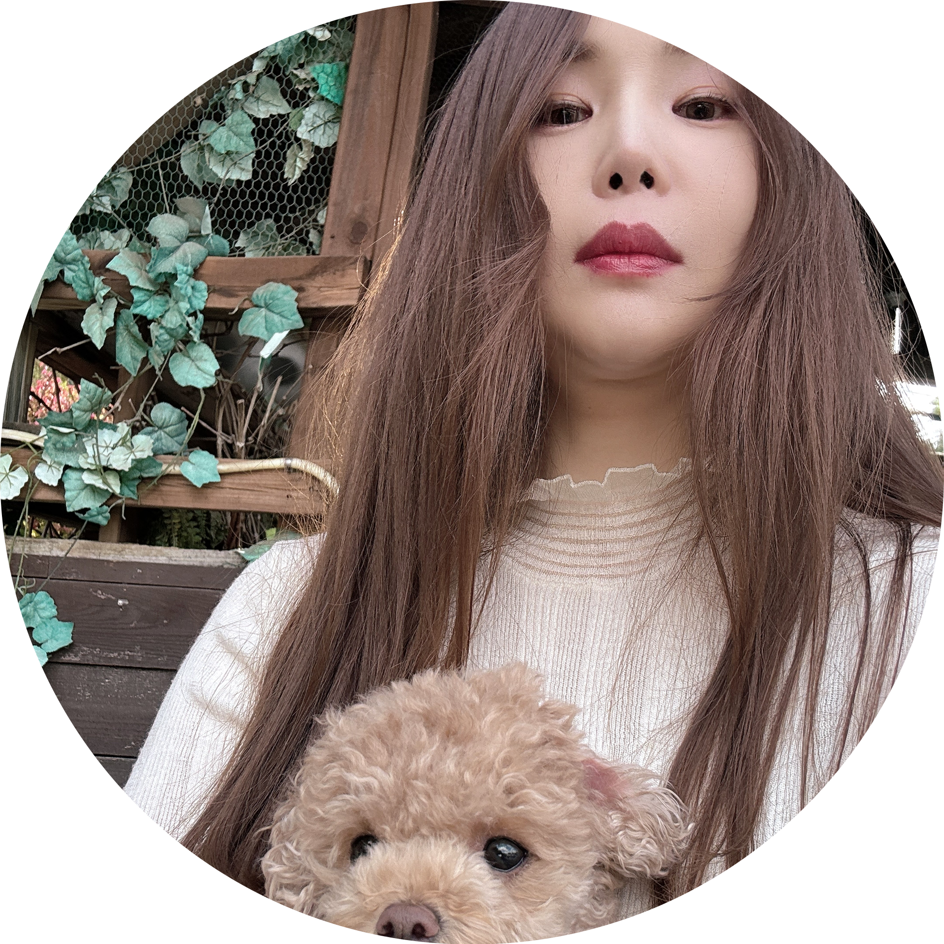 뽀슈아