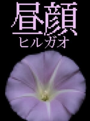 히루가오